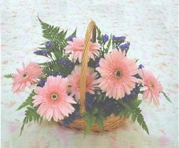 gerbera ieklerinde sepet   zmir anneler gn iek yolla 